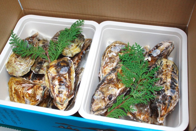 シーズン到来! 新鮮な岡山の絶品牡蠣がリーズナブルに買える直売所5選